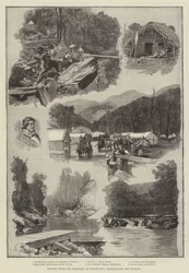 Pelorus Sound e i campi d